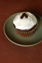 Whole Wheat Cupcakes